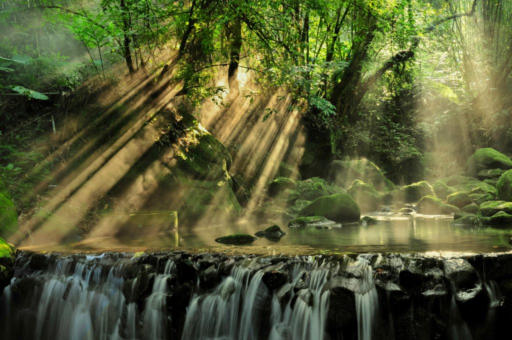 Vor dem Hintergrund von grünen Bäumen befindet sich ein kleiner Fluss, der sich dann als Wasserfall ergießt.
Durch die Bäume dringen Sonnenstrahlen, die den leichten Nebel zum Leuchten bringen.
