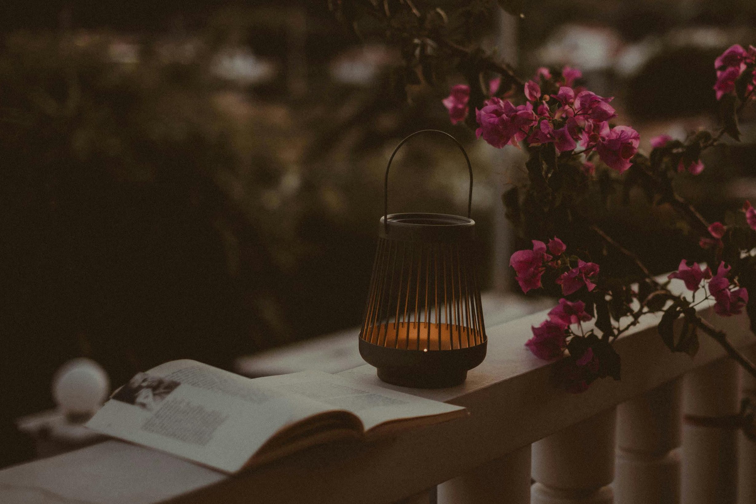 Es ist Nacht. Auf einem Mäuerchen liegt eine aufgeschlagene Zeitschrift. Daneben steht eine Kerze. Daneben sind pinke Blumen.