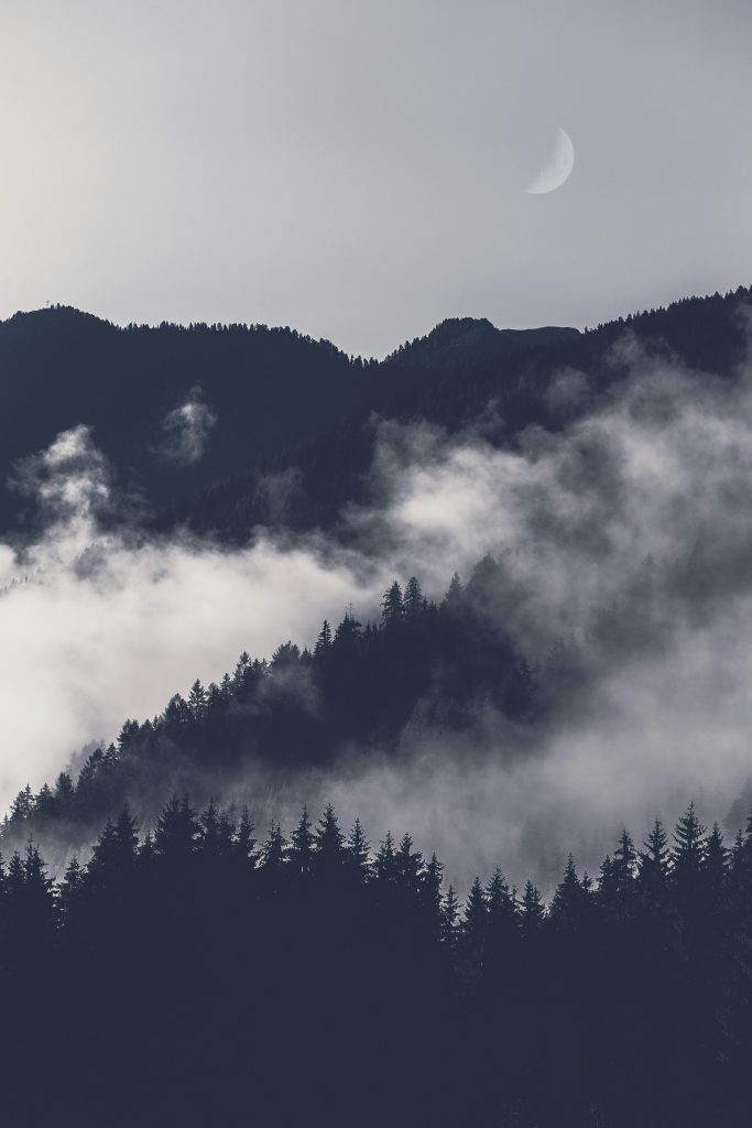 Hügel mit schwarzen Nadelbäumen. Zwischen ihnen hängen dicke Nebelschaden.
Der Himmel darüber ist grau.
In ihm hängt eine blasse Mondsichel.