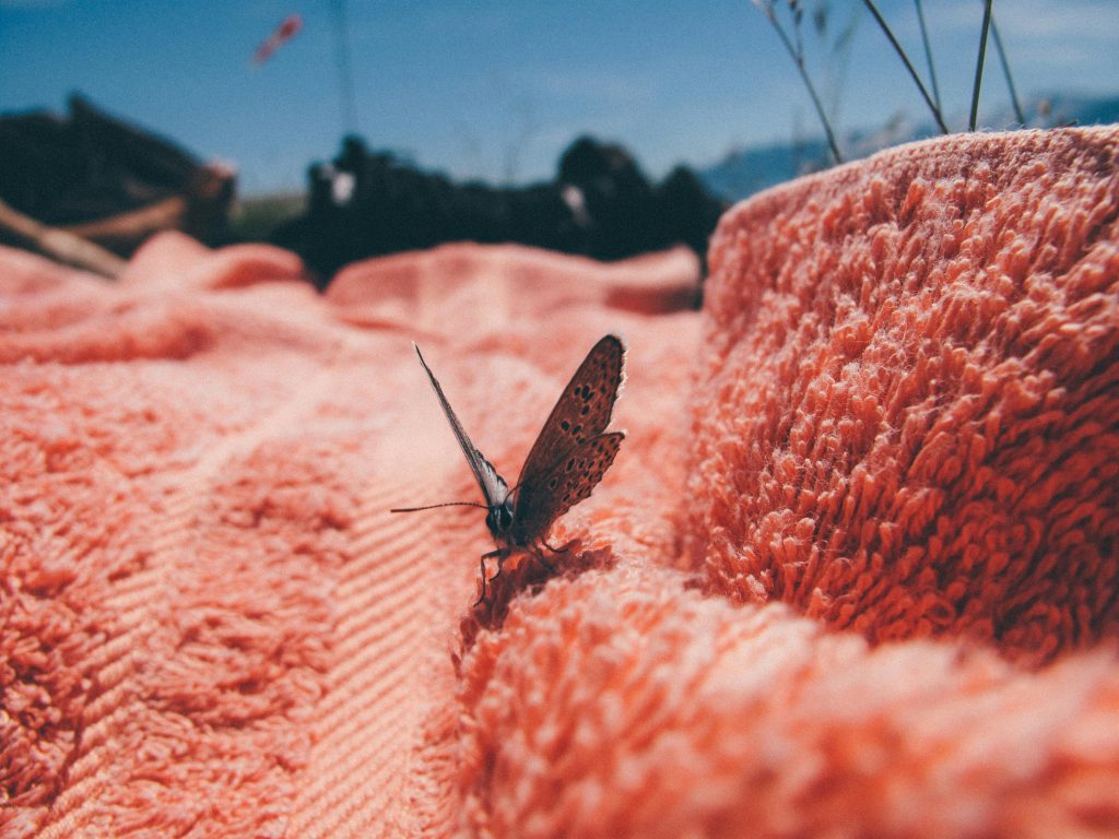 Auf einem apricotfarbenen Handtuch, das wahrscheinlich auf einer Wiese liegt, sitzt ein Schmetterling.
Darüber sieht man ein Stückchen blauen Himmel.