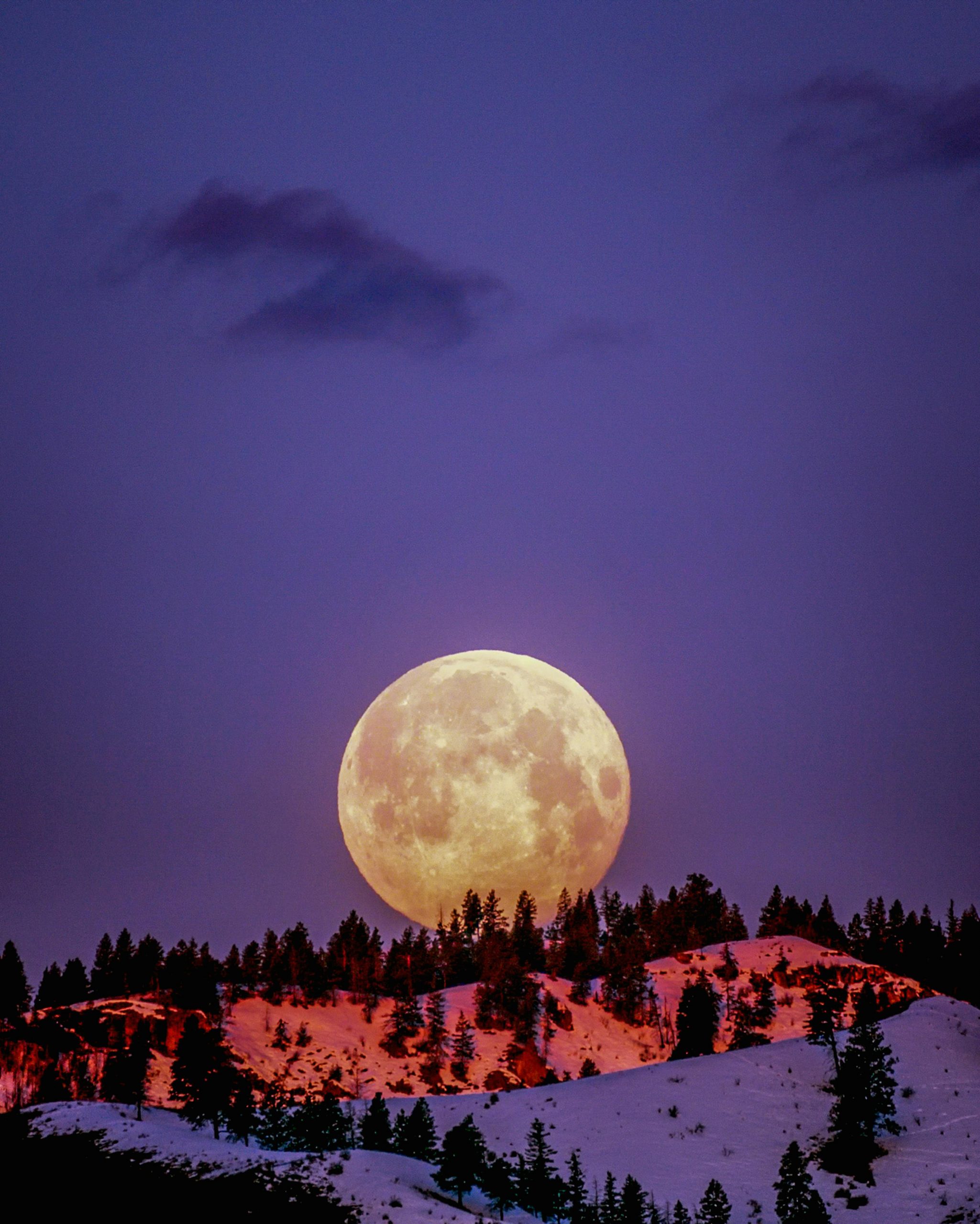ein riesiger, lachsfarbener Mond geht auf; über ihm ein blau-lilaner Himmel; unter ihm ein Hügel mit Nadelbäumen und schneebedeckten Hängen, die rosa und lila leuchten