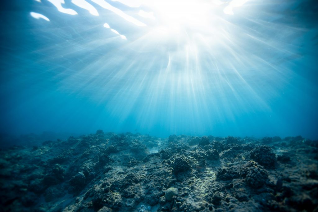 Unter Wasser:
steiniger, rauher Meeresgrund, blaues Wasser
Die Sonne leuchtet von oben rein und wirft helle Strahlen ins Meer.