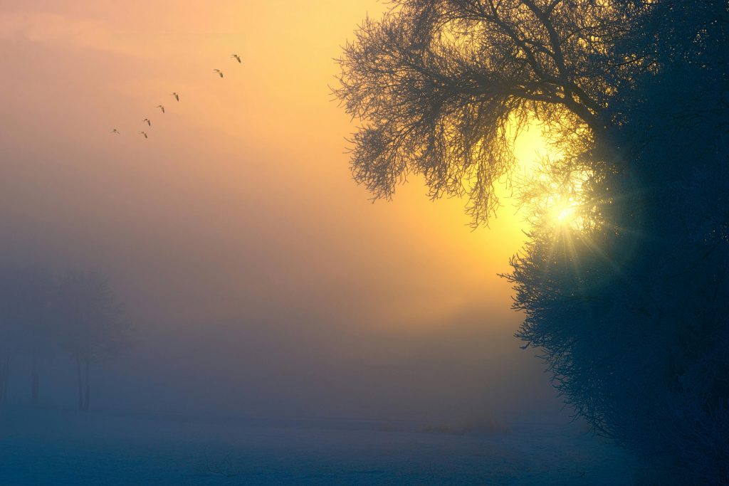 Ein See mit Bäumen, die von Nebel bedeckt sind.
Im Hintergrund leuchtet aber die Sonne und malt alles leicht gelb, orange, braun und grau.