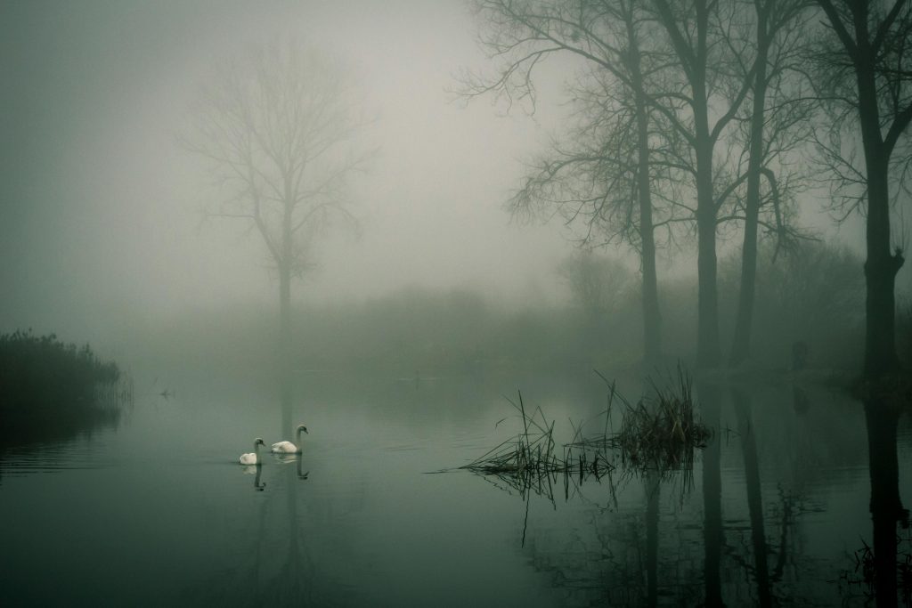 Ein kleiner See mit ein paar kahlen Bäumen drum herum.
Überall ist Nebel.