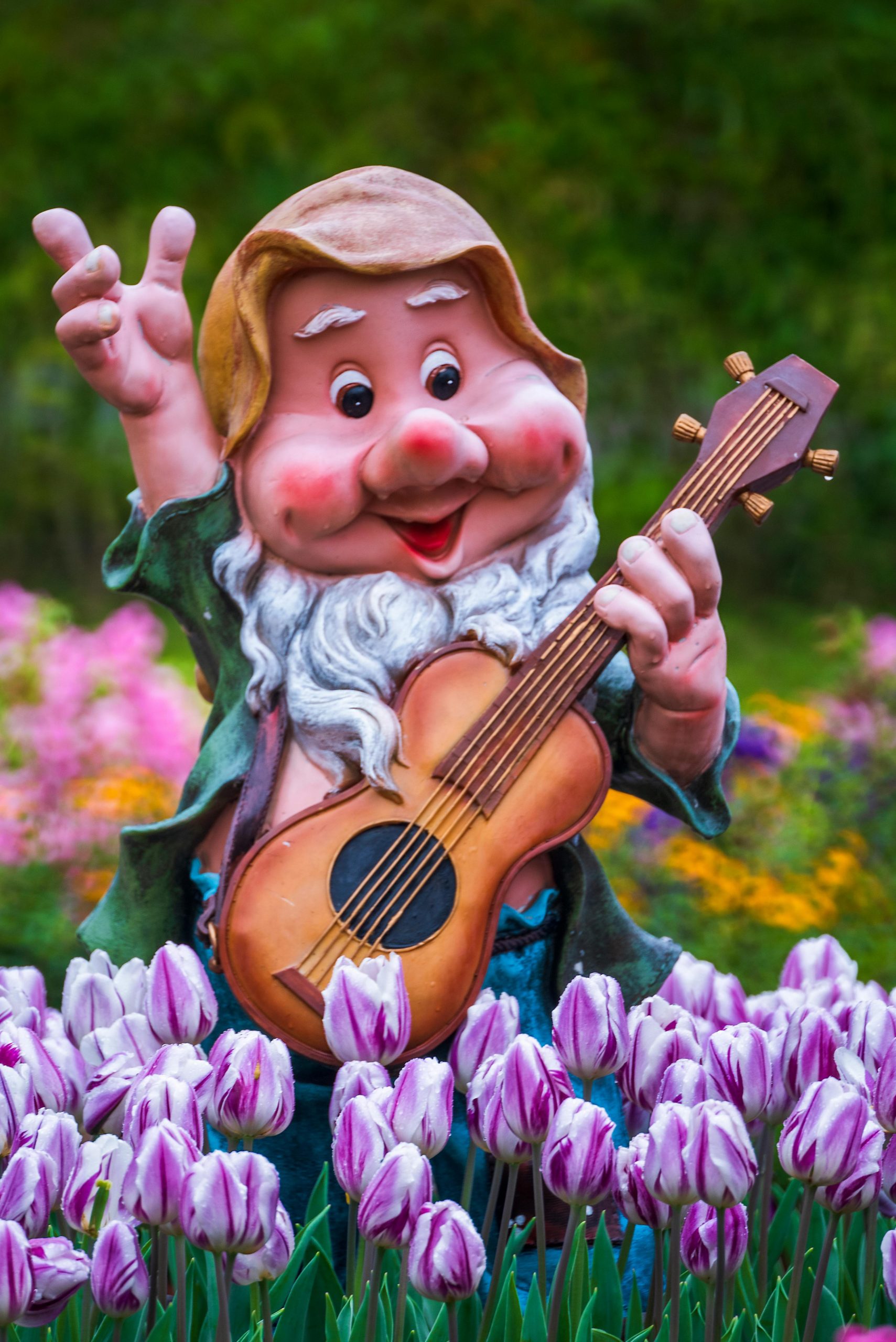 Auf einer Wiese mit lila-weißen Tulpen steht ein Zwerg.
Er trägt eine gelbe Mütze.
Seine rechte Hand steckt er voller Freude nach oben.
In seiner linken hält er eine Gitarre.
Er lacht.