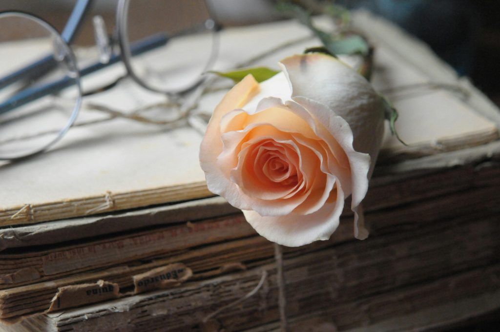 ein altes, aufgeschlagenes Buch mit lachsfarbener Rose und Lesebrille