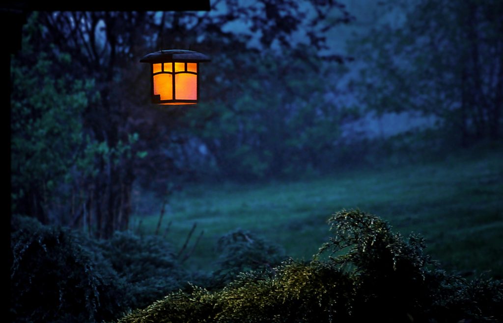 Es ist Nacht mit dunkelblaumen Himmel.
Eine Wiese und drum herum Bäume.
Von einem Baum hängt eine Lampe, die orange leuchtet.
