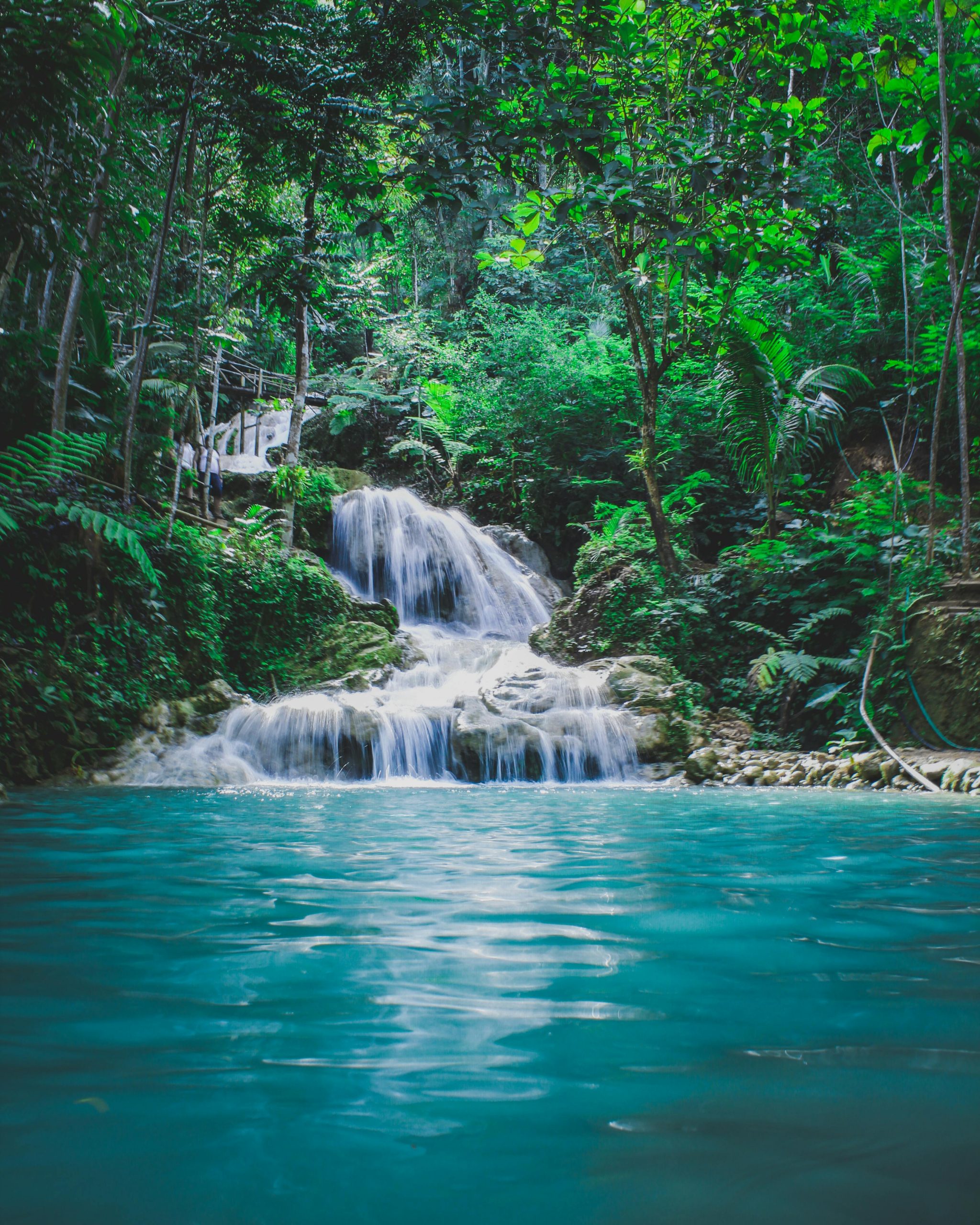 Wasserfall im Regenwald