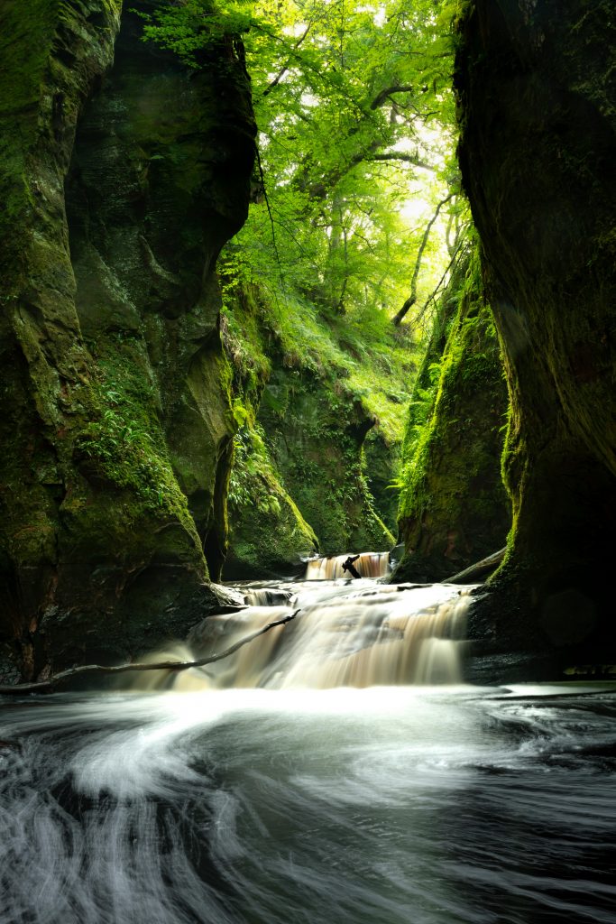 Ein Fluss fließt durch dunkelgrüne Felsen durch.
In der Mitte sieht man Bäume mit erfrischend hellgrünen Blättern.